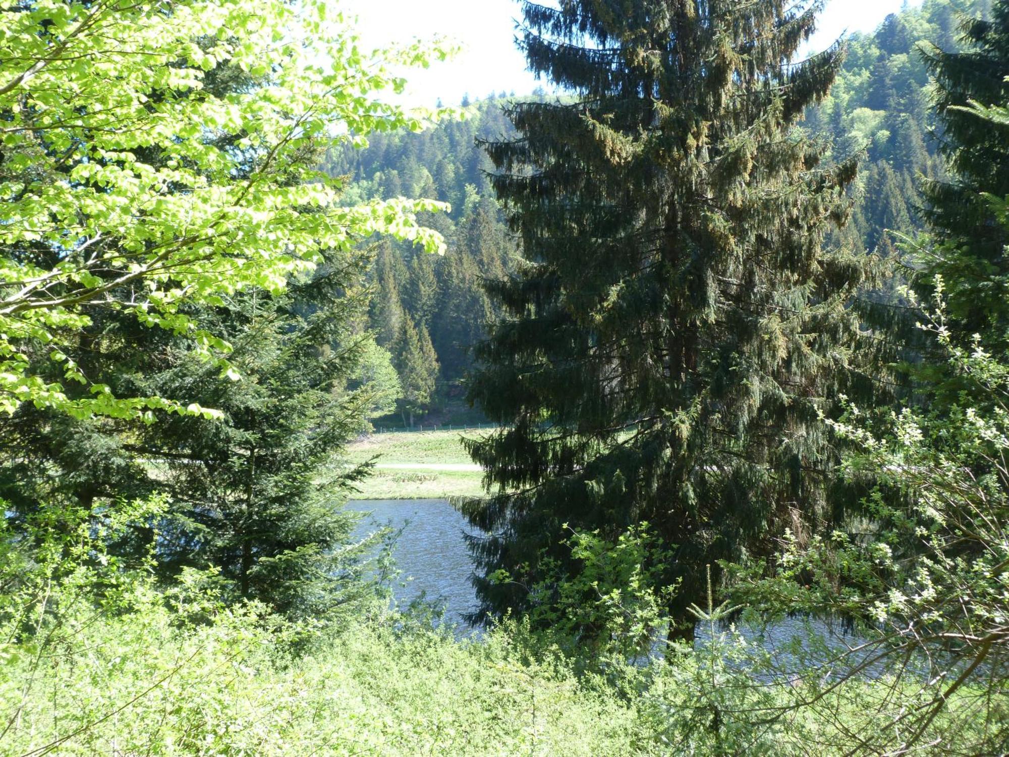 לה ברסה Domaine Des Hauts Viaux מראה חיצוני תמונה