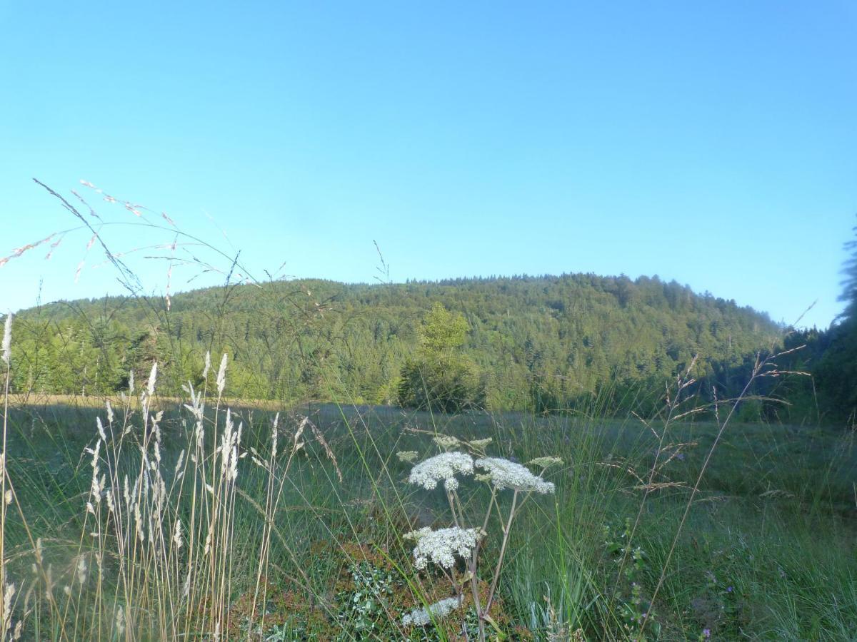 לה ברסה Domaine Des Hauts Viaux מראה חיצוני תמונה